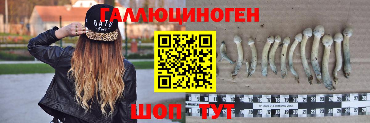 Псилоцибиновые грибы мицелий  Псилоцибиновые грибы Cubensis  Вход с VPN  Черемхово 